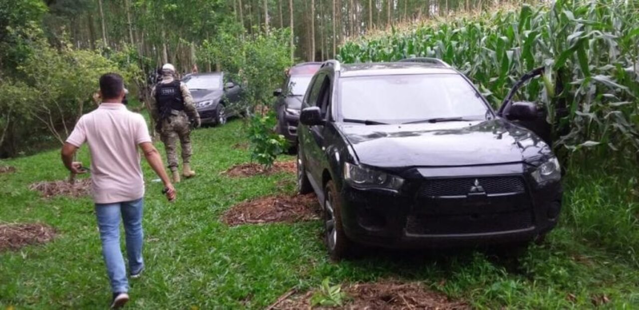 Carros usados no assalto foram abandonados em plantação - Foto: Reprodução