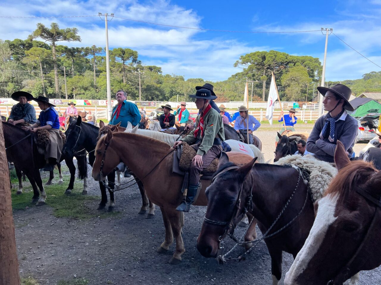 cavalarianos