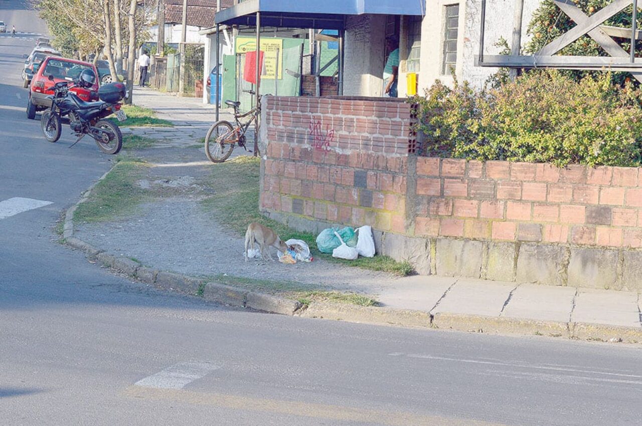 cidades e fatos - lixo