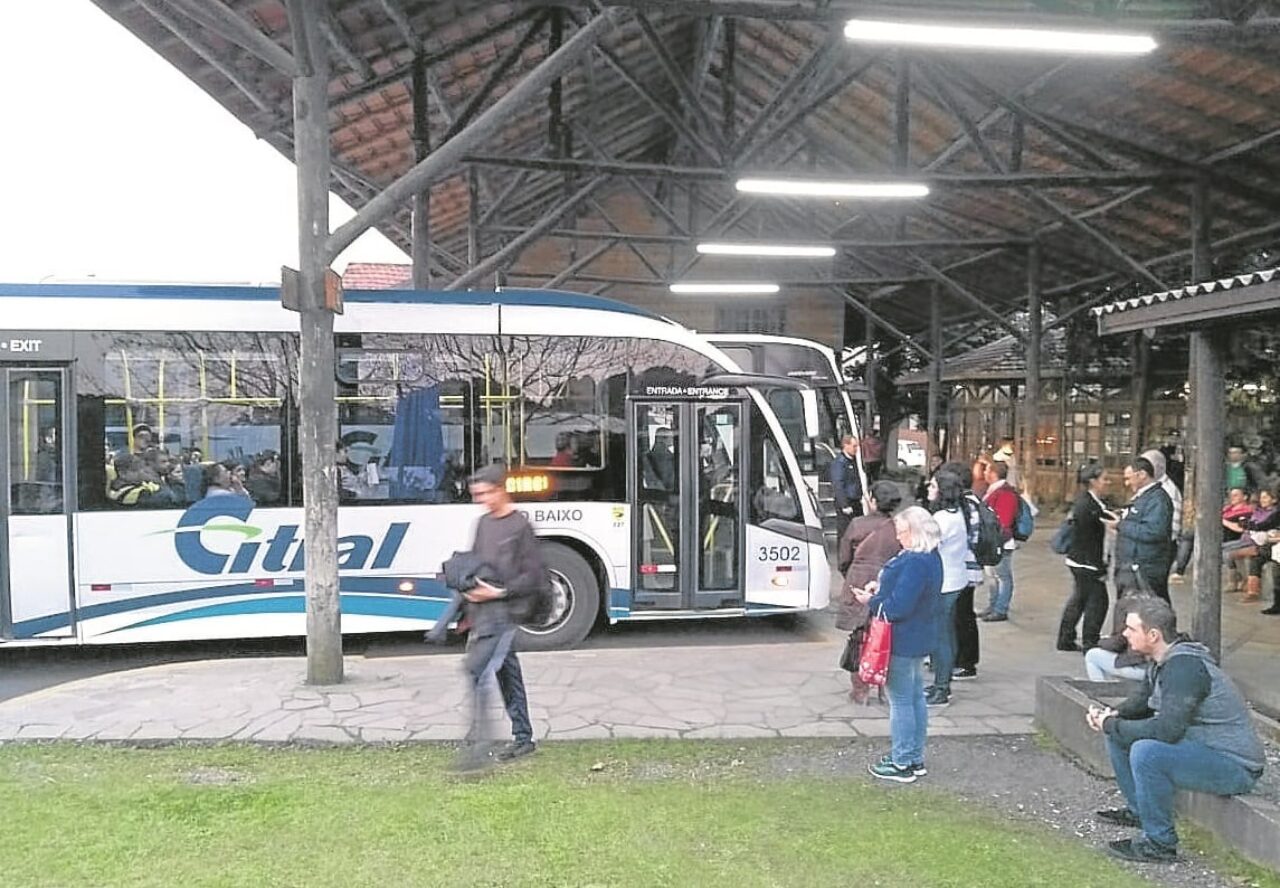 citral5