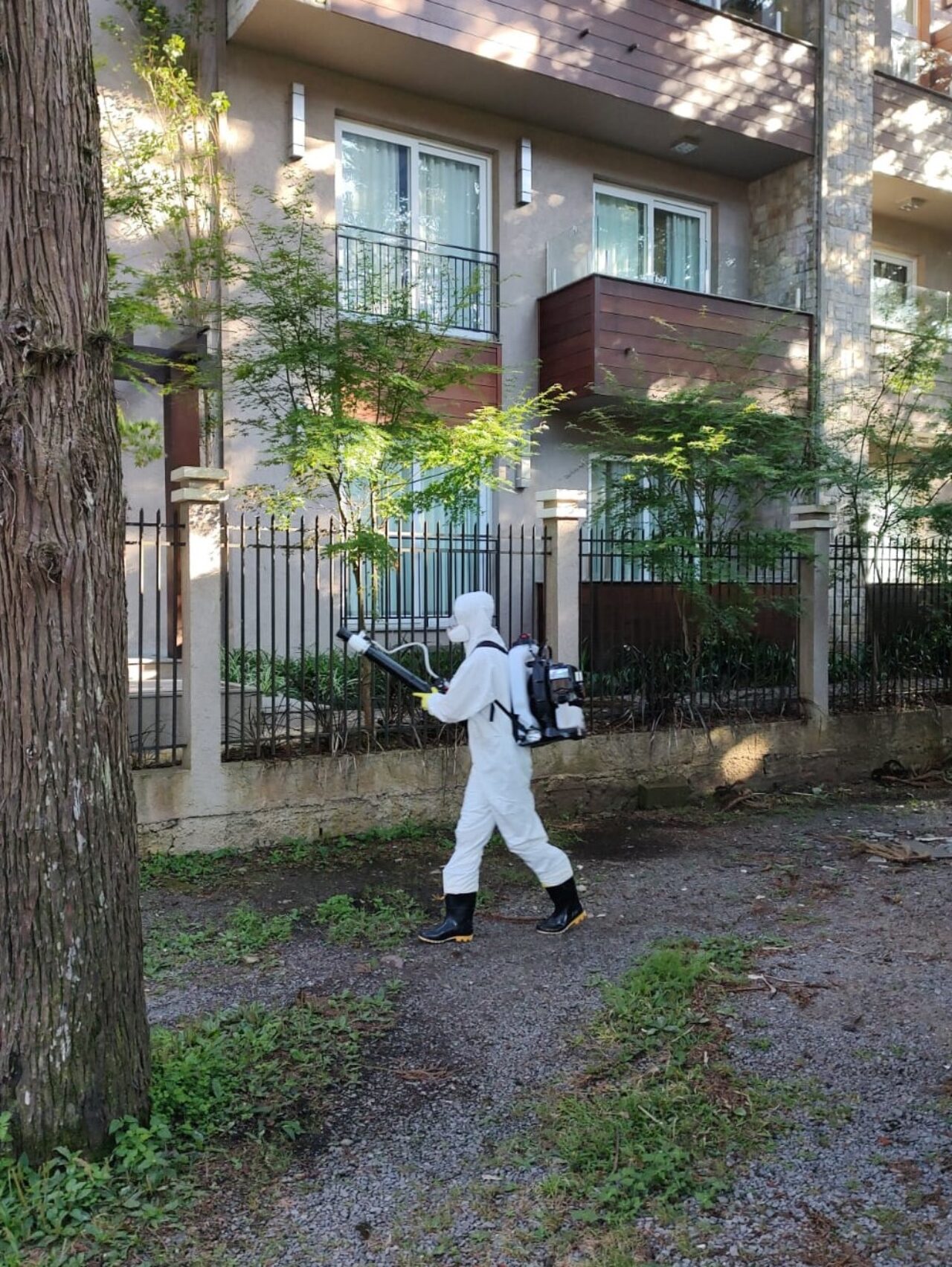 Foto: Servidores da Vigilância Ambiental fizeram o bloqueio.