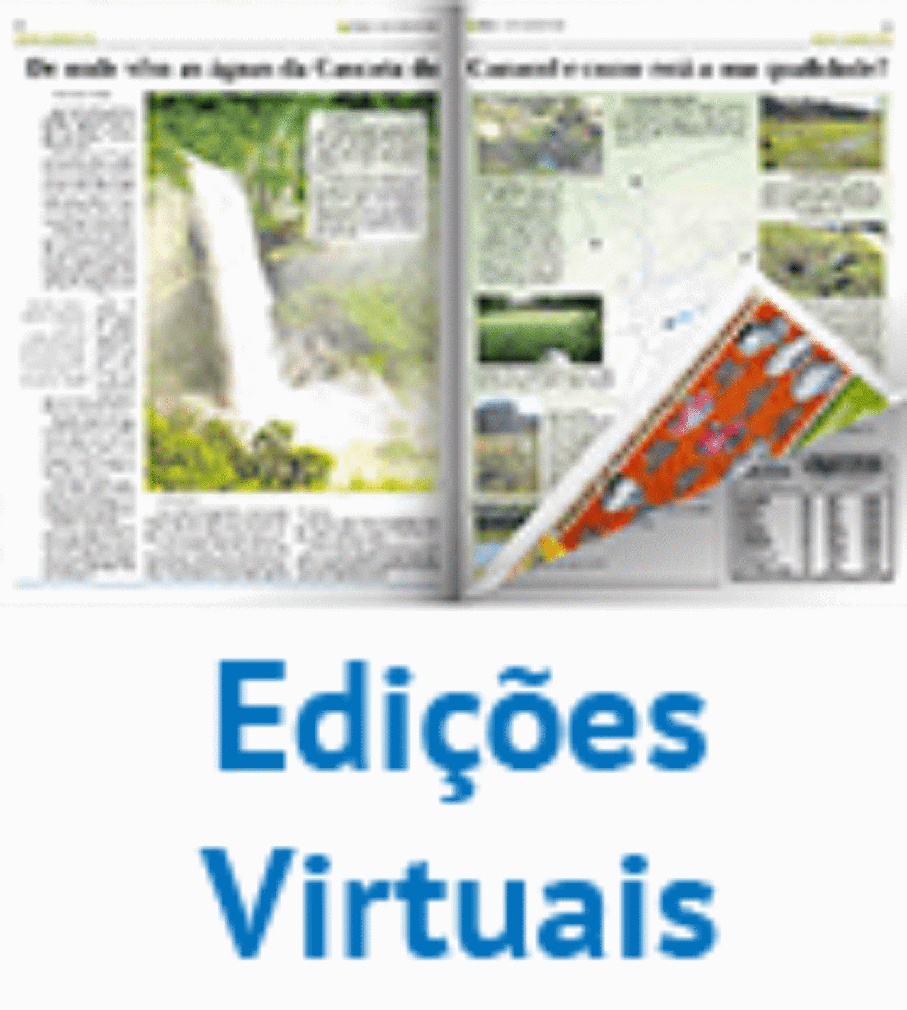 edi-virtuais