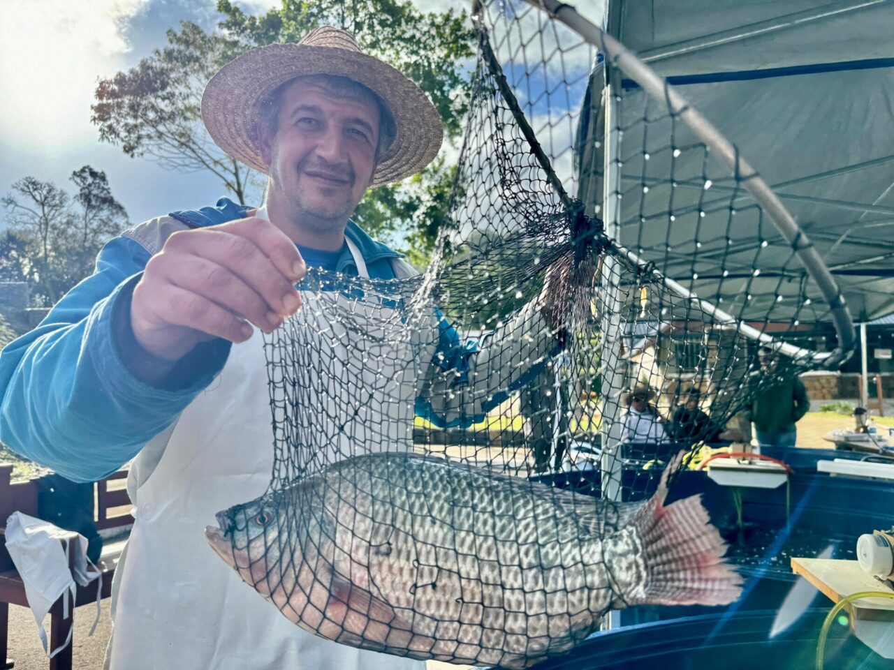 feira do peixe vivo
