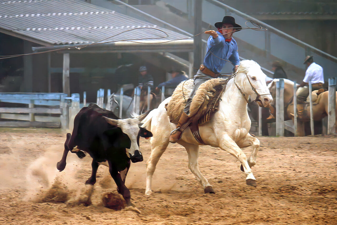 foto rodeio 2025