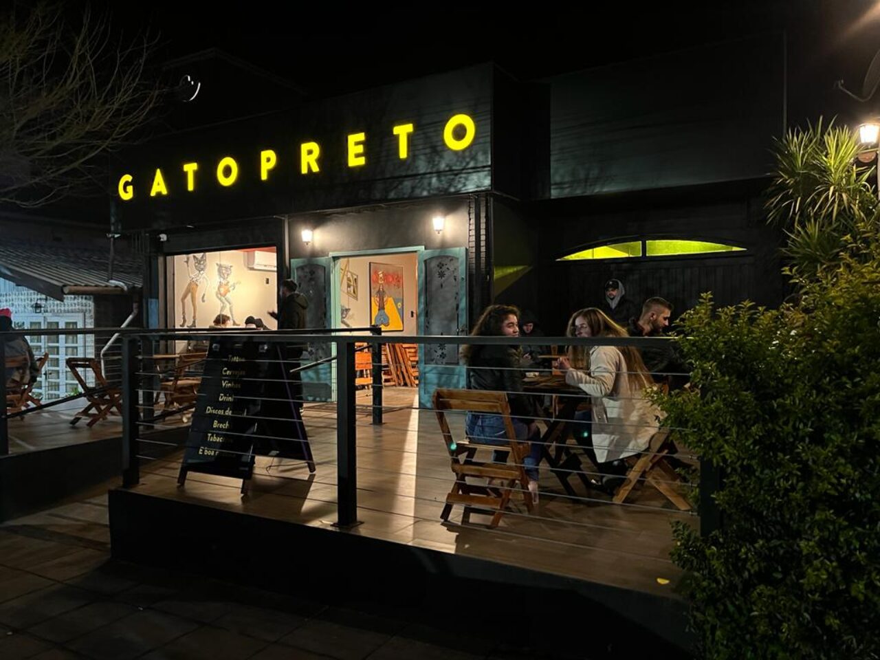 fotoGato