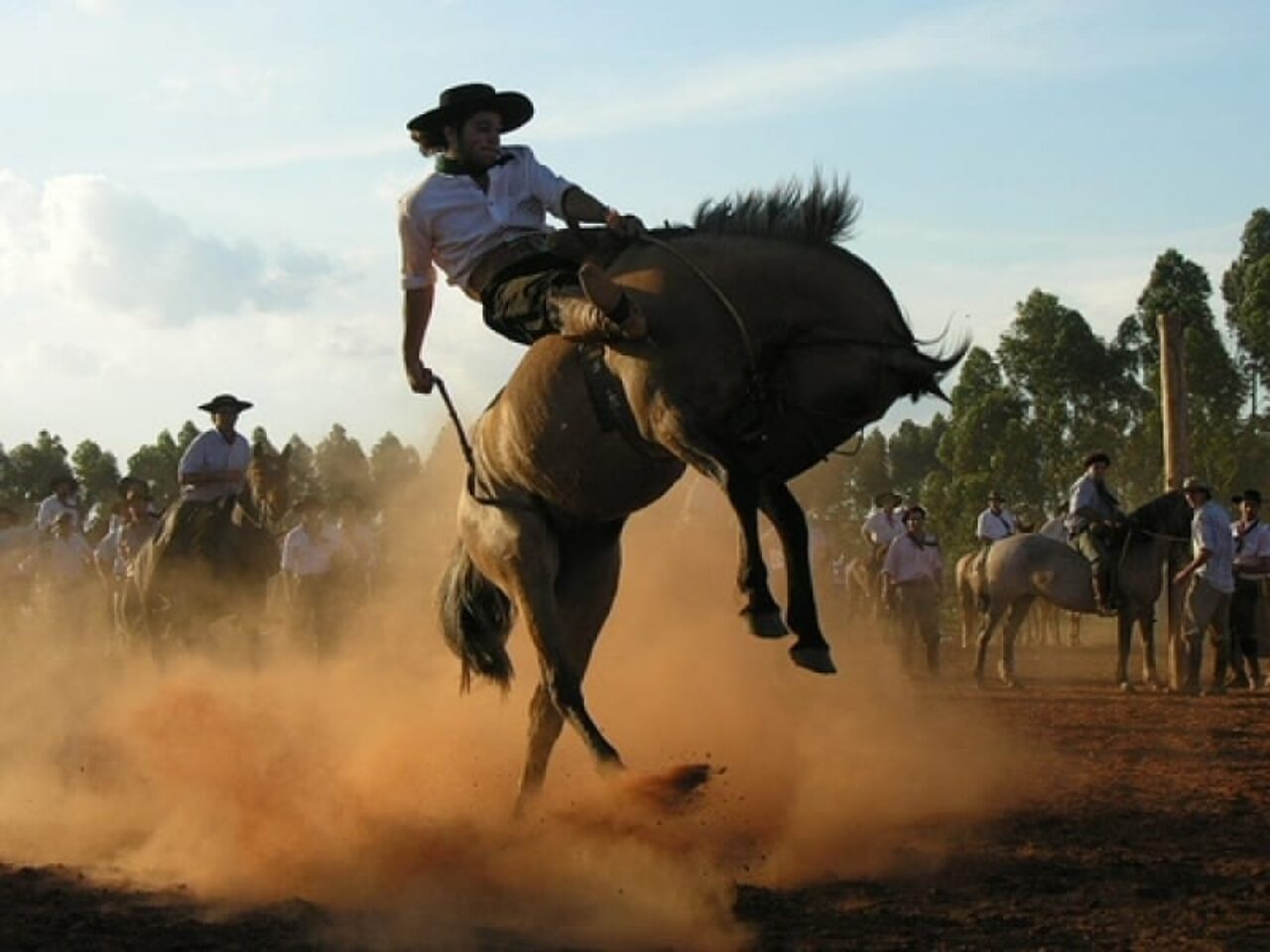 gineteada