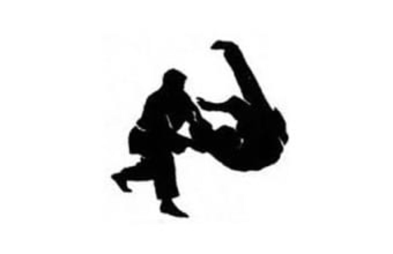 hapkido-itapevi-1374765194
