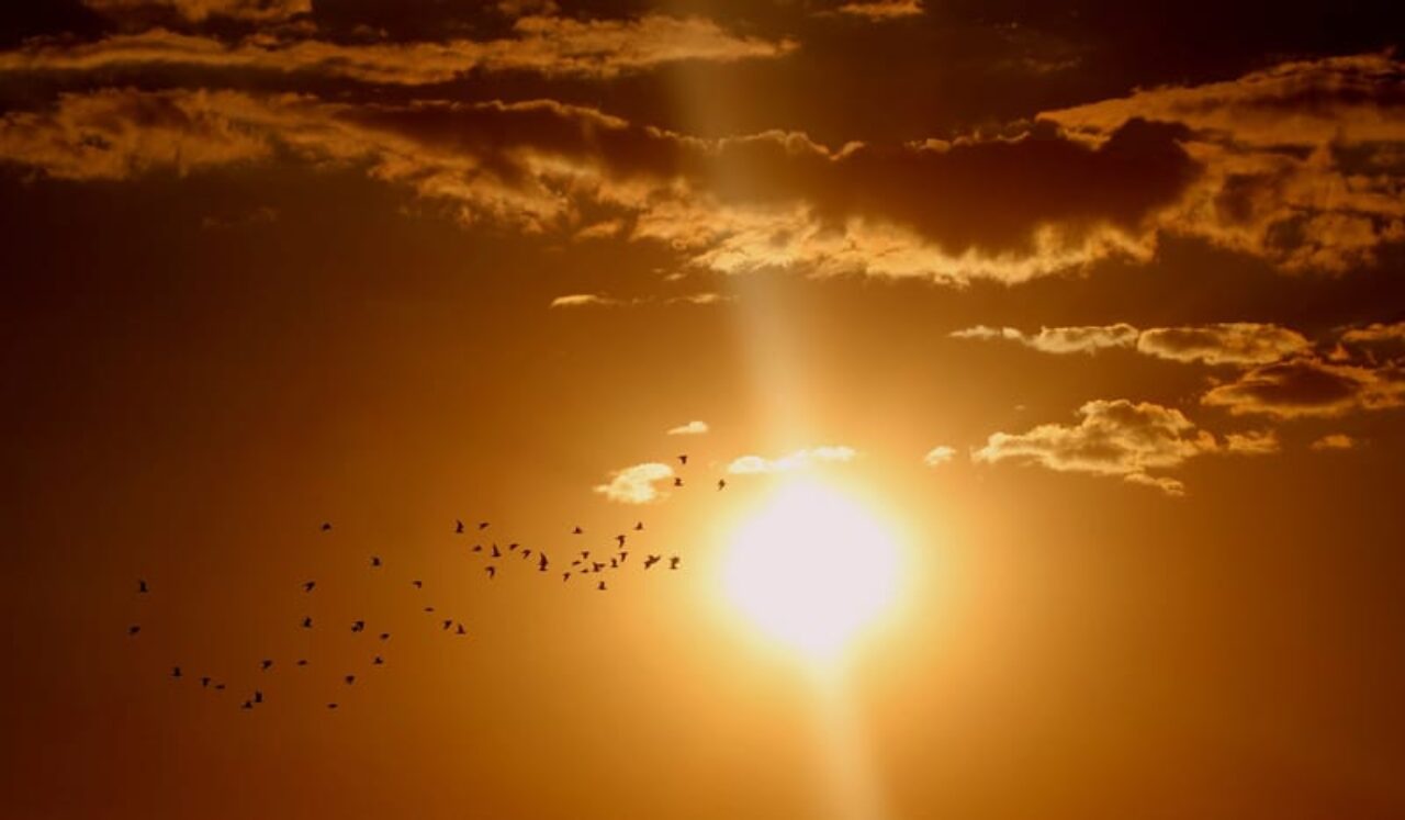 horário-de-verão
