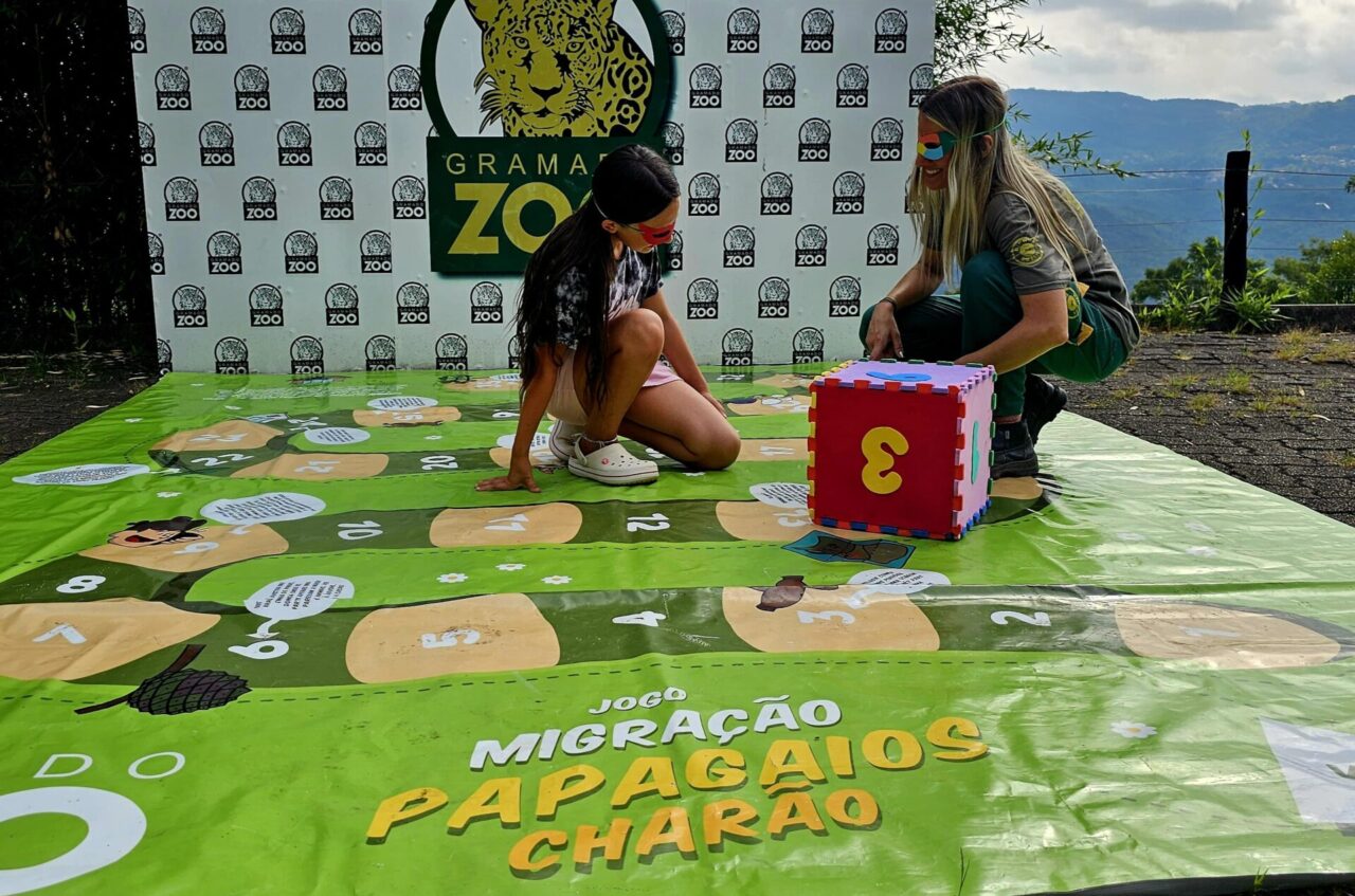 jogo_tabuleiro_papagaio1