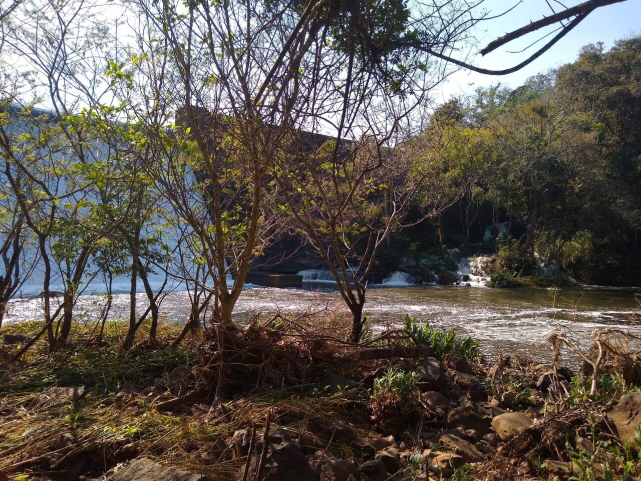 Foto: Francisco Rocha