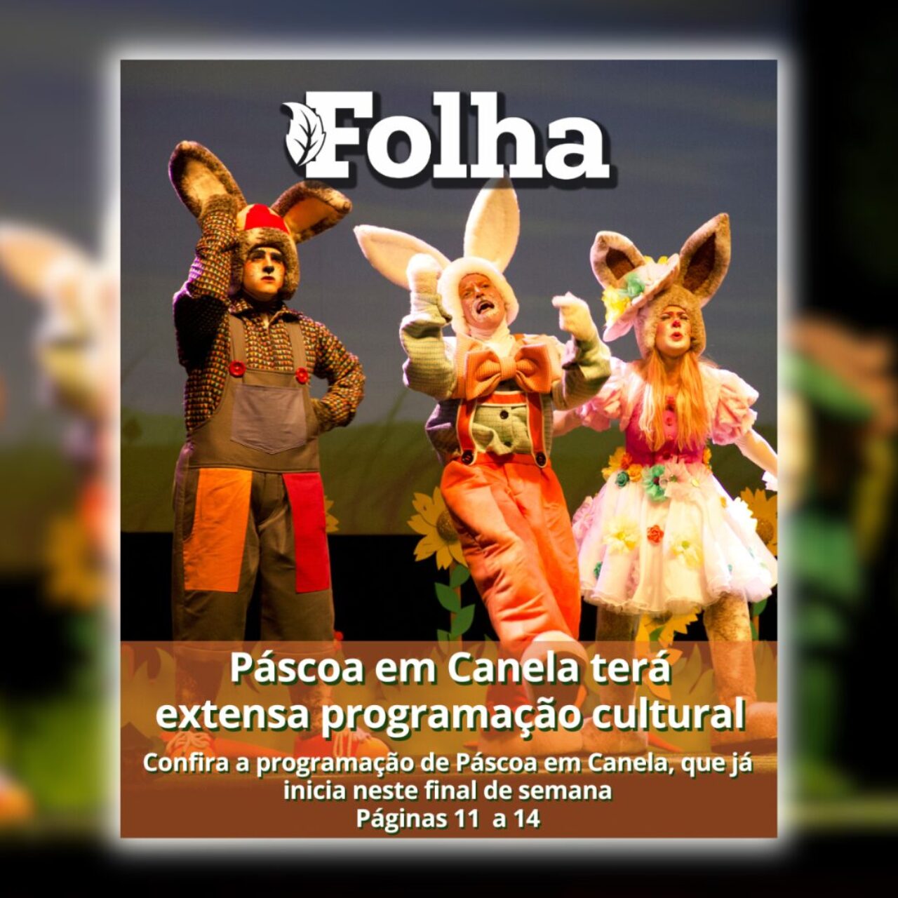 miniatura capa (2)