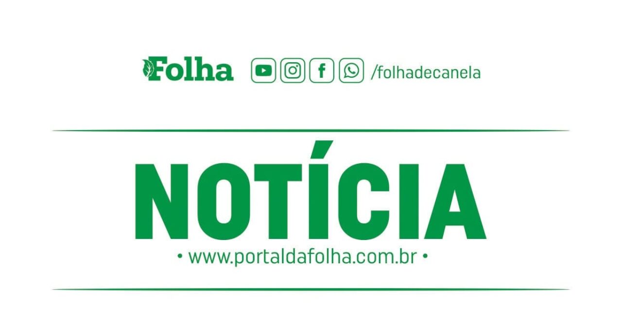 noticia - novo