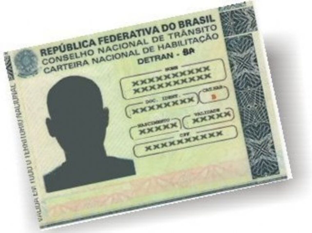 imagem_database