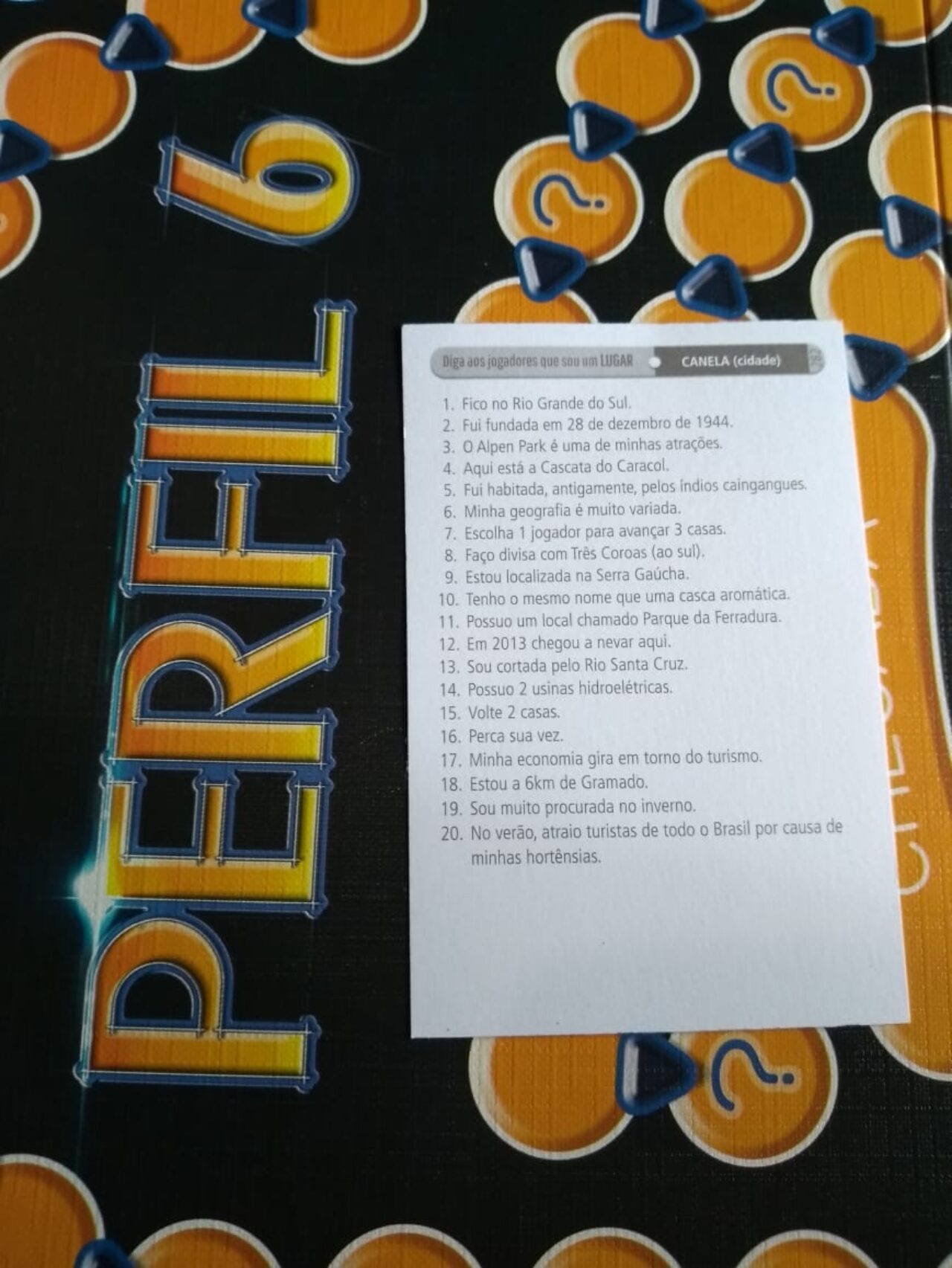 perfil 6
