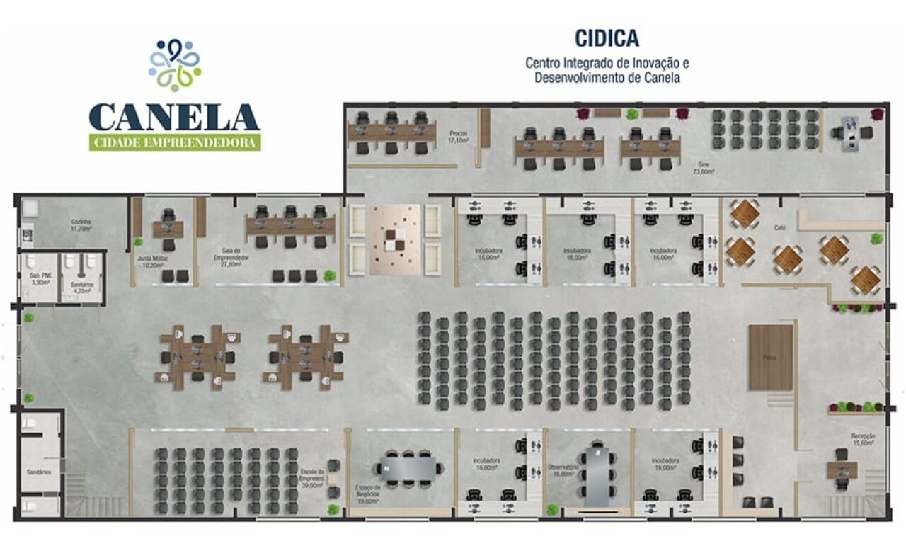 planta cidica