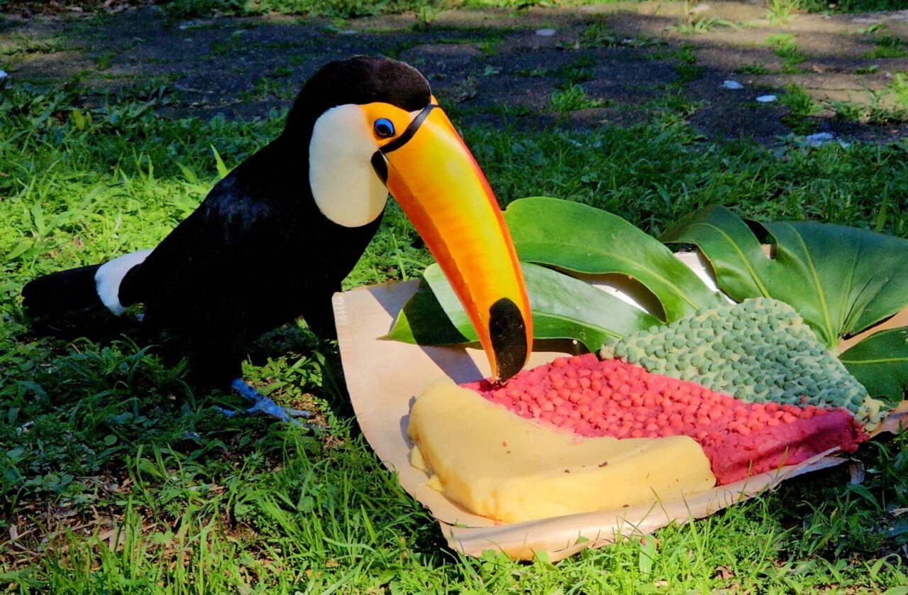 polenta_tucano_foto_halder