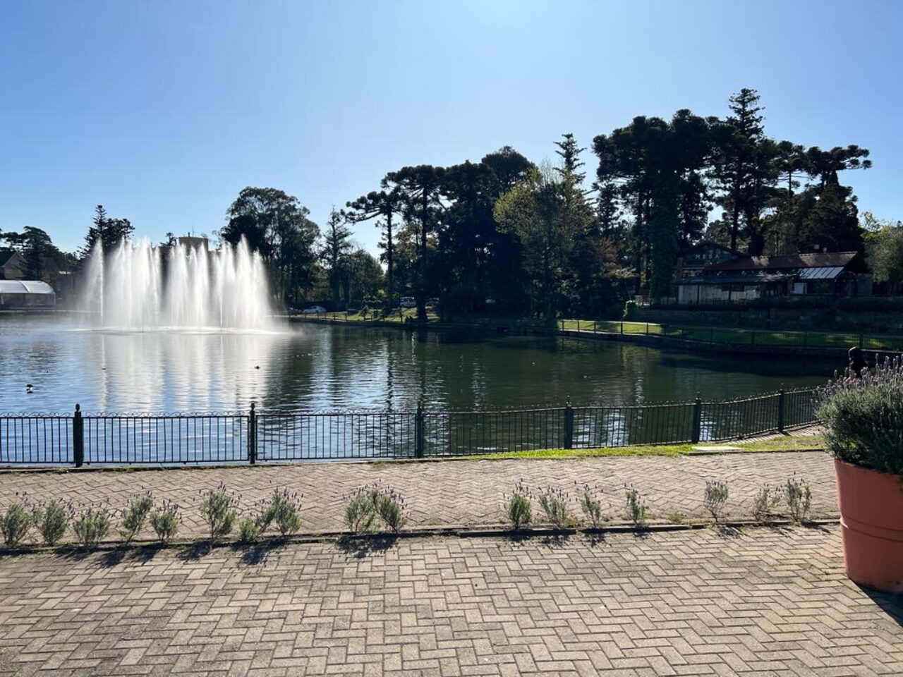 revitalizacao-lago