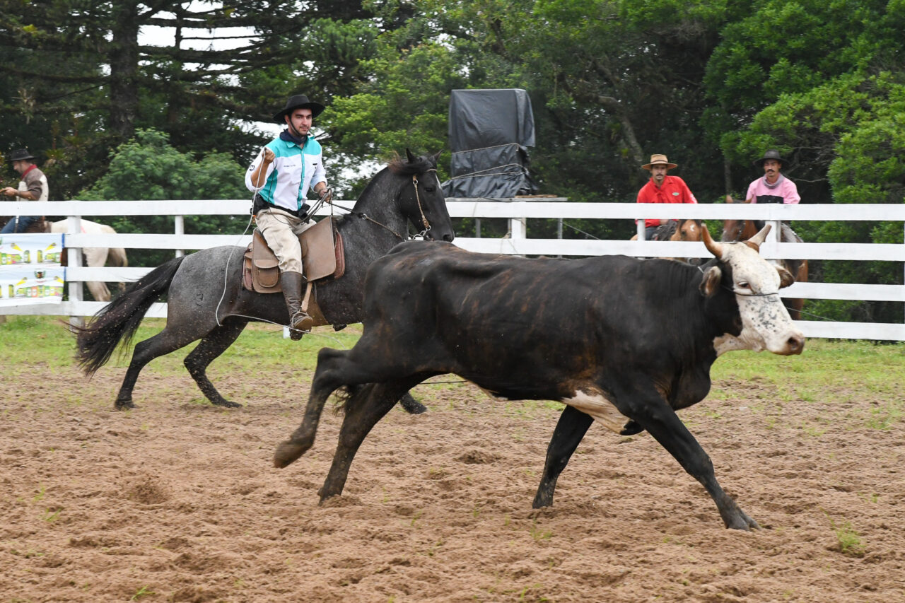 rodeio 2024 a