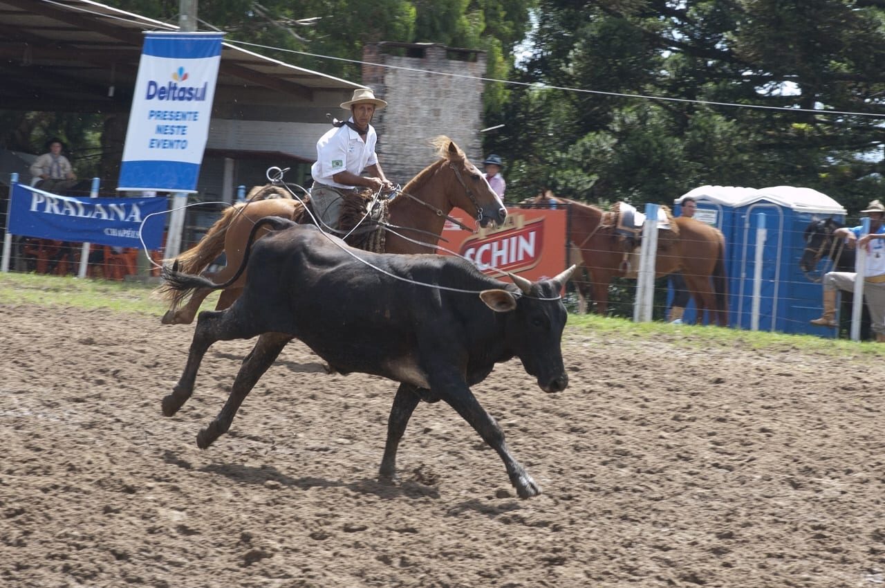 rodeio canela