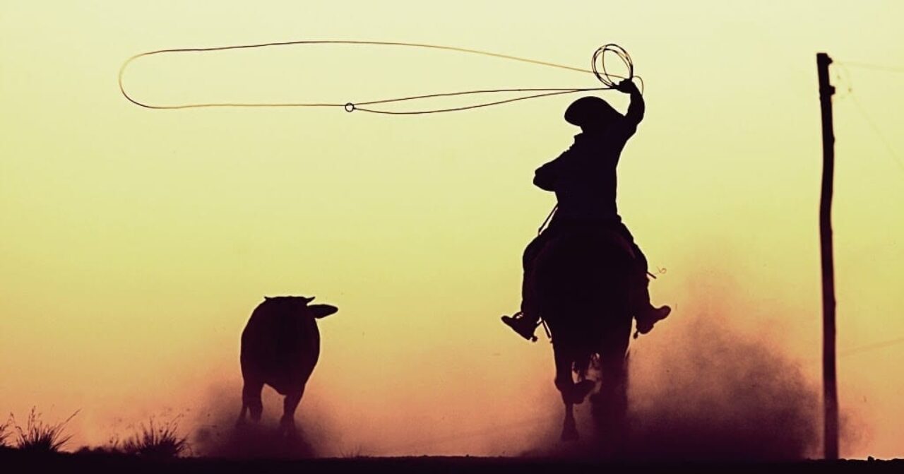 rodeio