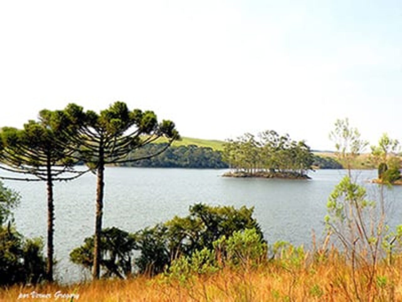 salto