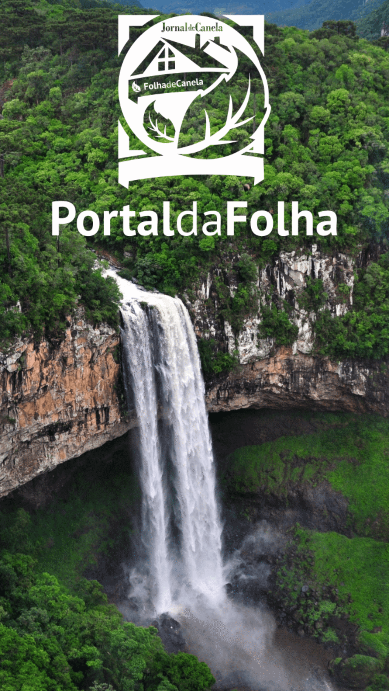 splash-folha