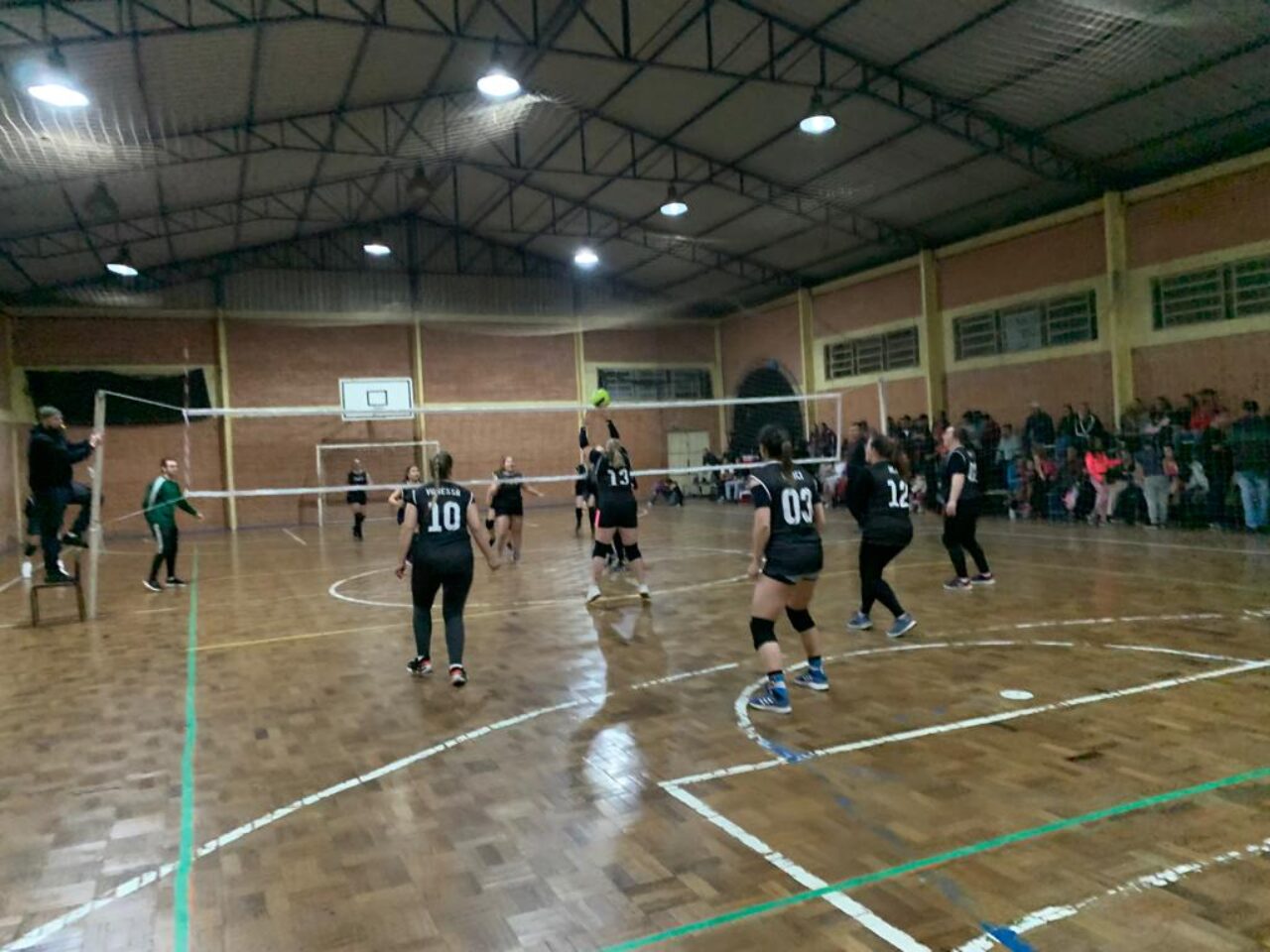 volei